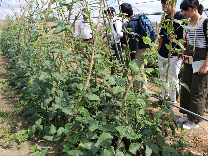 ソコイネ農業大学(Sokoine University of Agriculture)