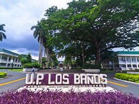 フィリピン大学ロスバニオス校-University of the Philippines Los Banos(フィリピン)