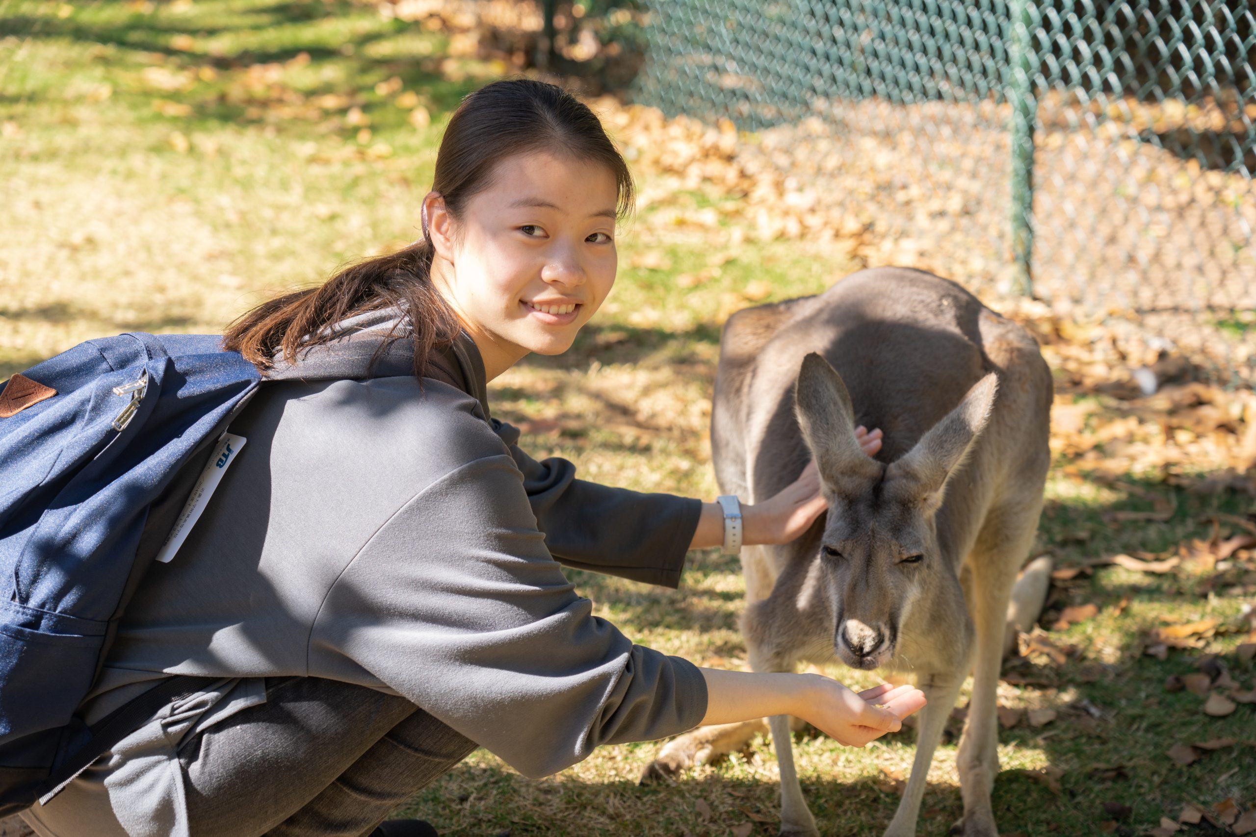 2025年夏ジュニア（13歳～17歳対象）英語レッスンと野生動物保護について考える　オーストラリア・サンシャインコースト 現地14日間